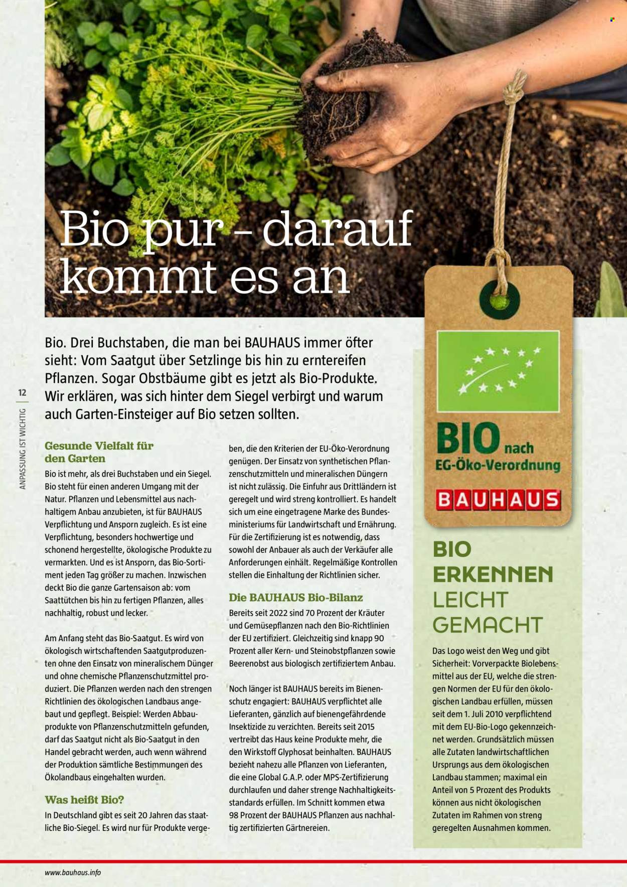 thumbnail - Prospekte Bauhaus - 29.12.2023 - 30.06.2024 - Produkte in Aktion - Saatgut, Obstbaum, Gemüsepflanze. Seite 12.