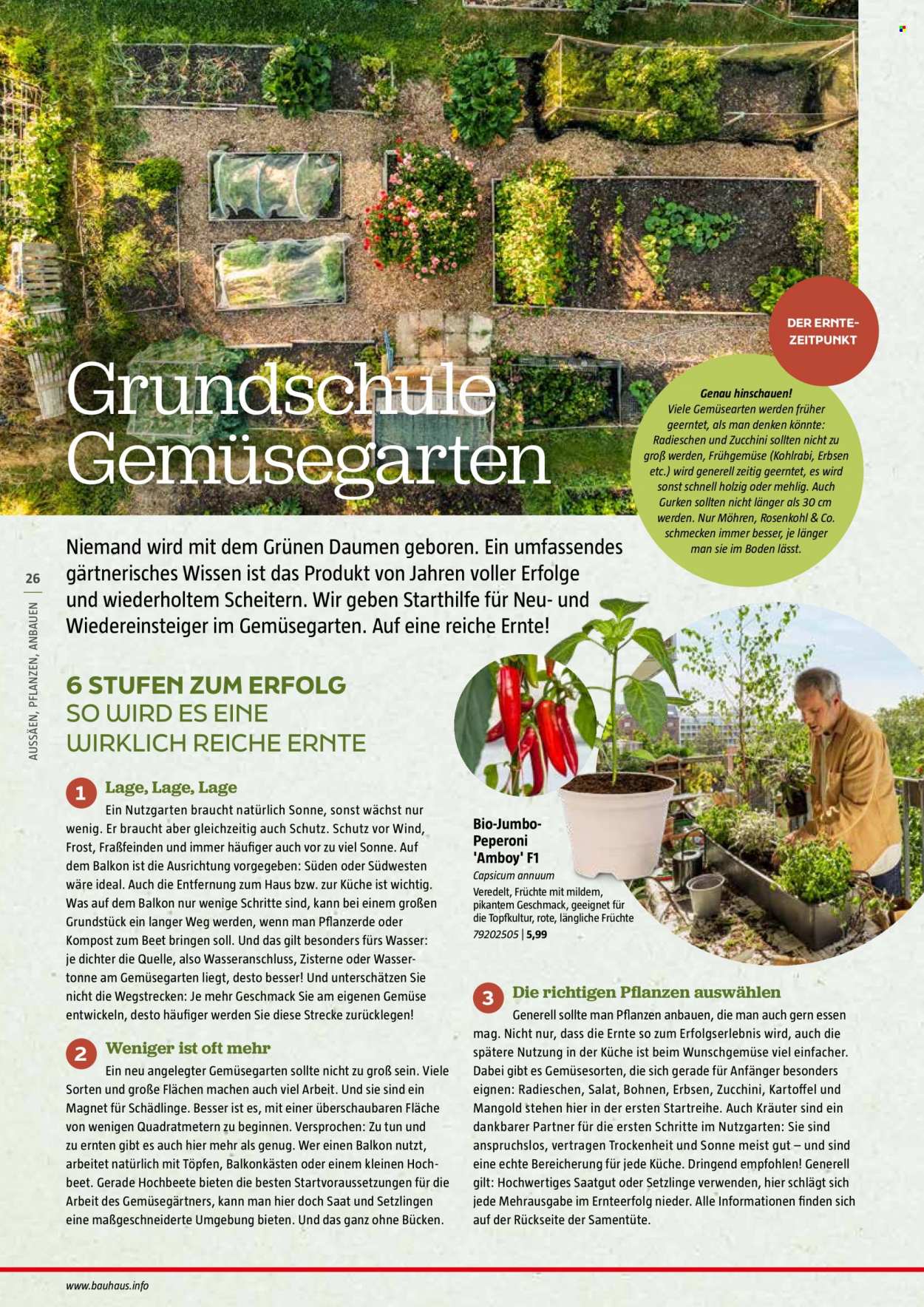 thumbnail - Prospekte Bauhaus - 29.12.2023 - 30.06.2024 - Produkte in Aktion - Pflanzerde, Hochbeet, Saatgut, Blumenkasten, Kompost. Seite 26.