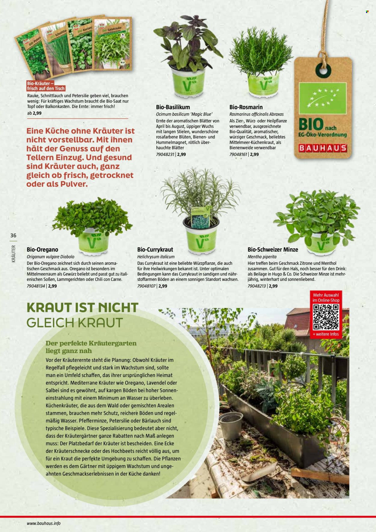 thumbnail - Prospekte Bauhaus - 29.12.2023 - 30.06.2024 - Produkte in Aktion - Rosmarin, Lavendel, Draußen-Pflanze, Kräutergarten. Seite 36.