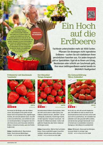 thumbnail - Erdbeeren