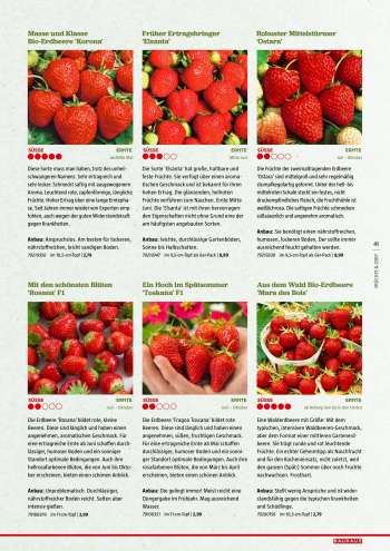 thumbnail - Erdbeeren