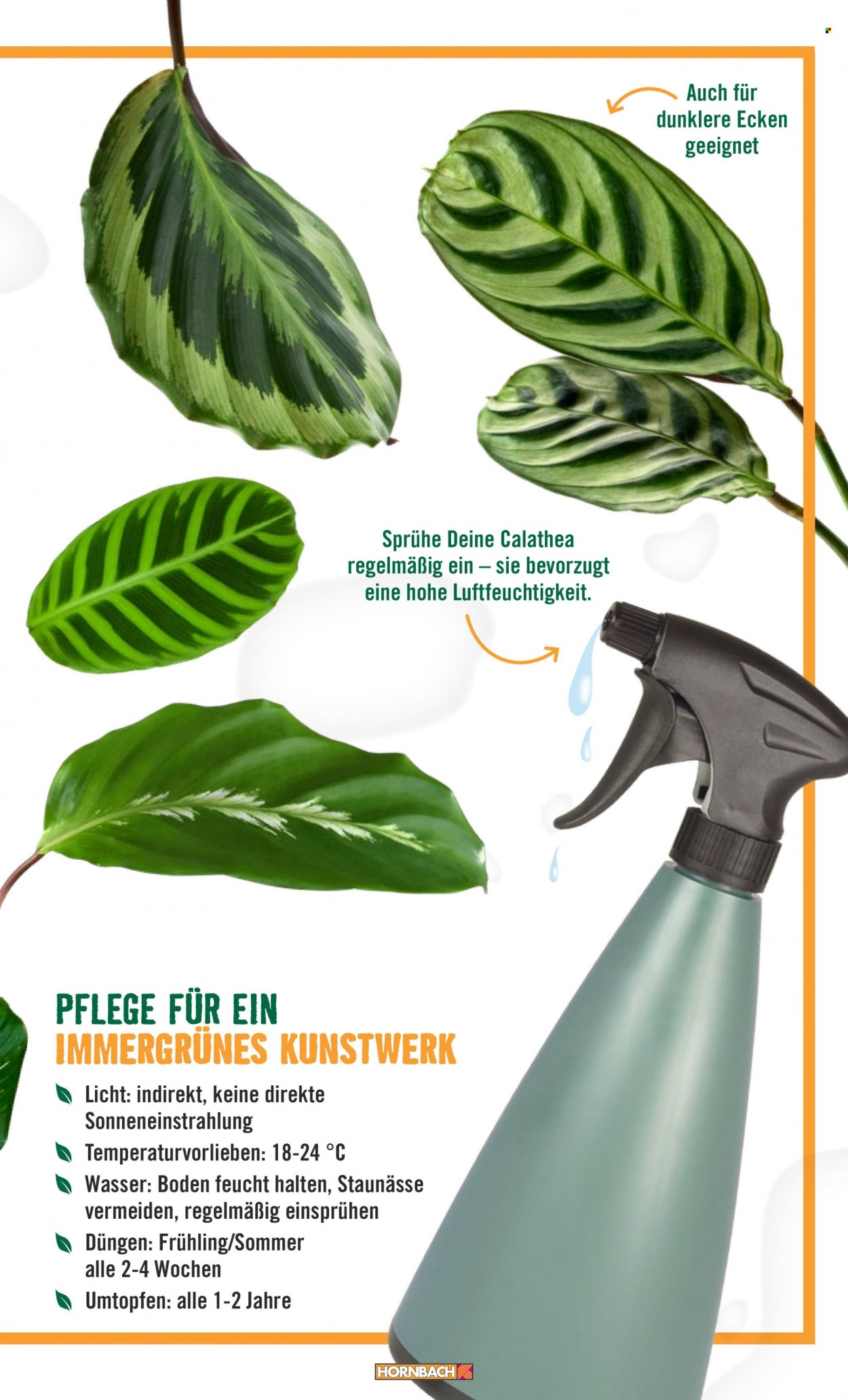 thumbnail - Prospekte Hornbach - Produkte in Aktion - Drinnen-Pflanze, Sprühflasche. Seite 23.
