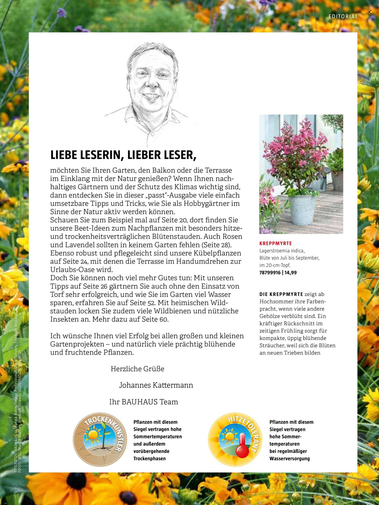 thumbnail - Prospekte Bauhaus - Produkte in Aktion - Blüte, Lavendel, Blumenstrauß, Blütenstauden, Draußen-Pflanze. Seite 3.