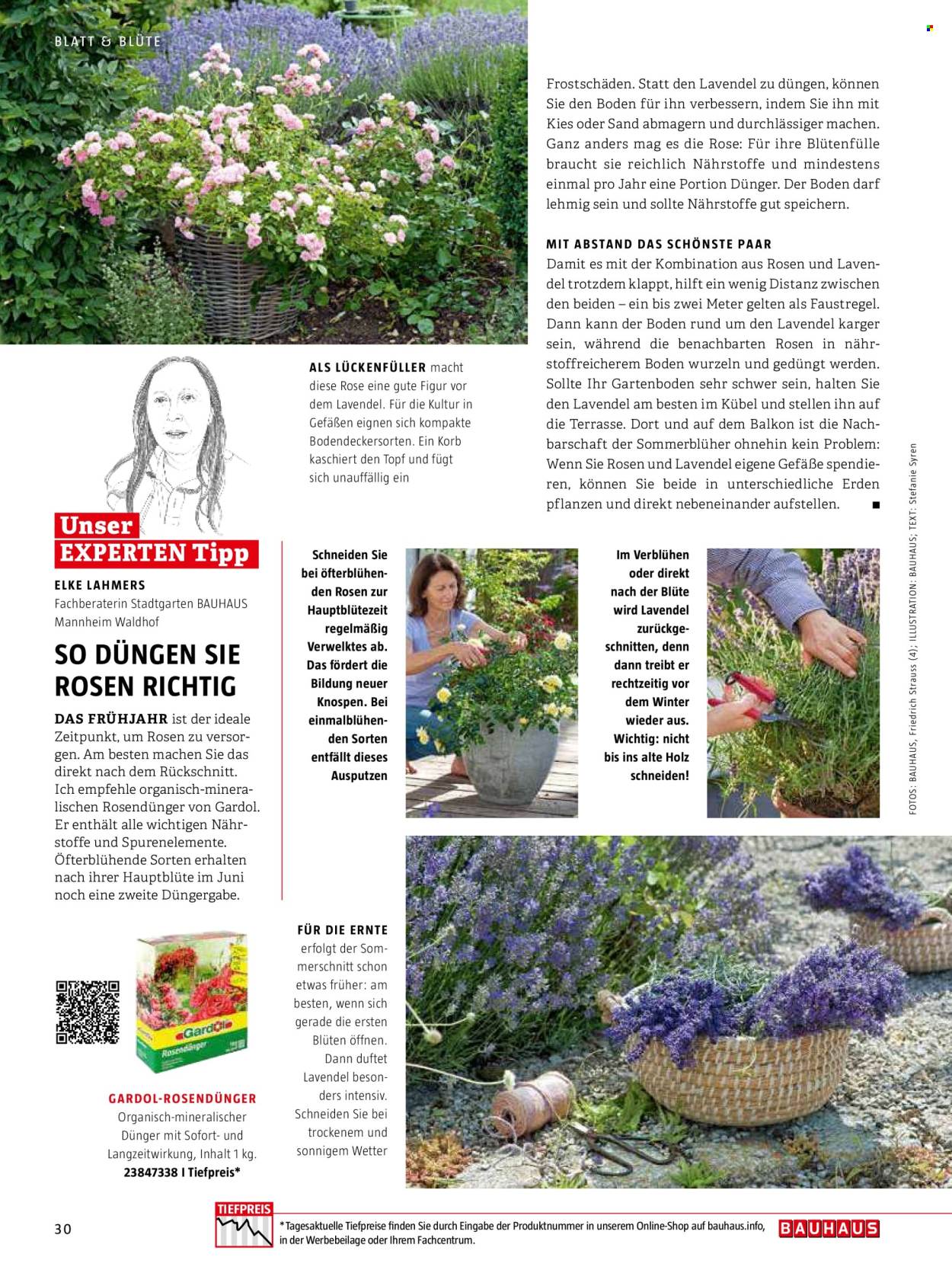thumbnail - Prospekte Bauhaus - Produkte in Aktion - Korb, Kies, Blüte, Lavendel, Blumenstrauß, Draußen-Pflanze, Blumendünger. Seite 30.