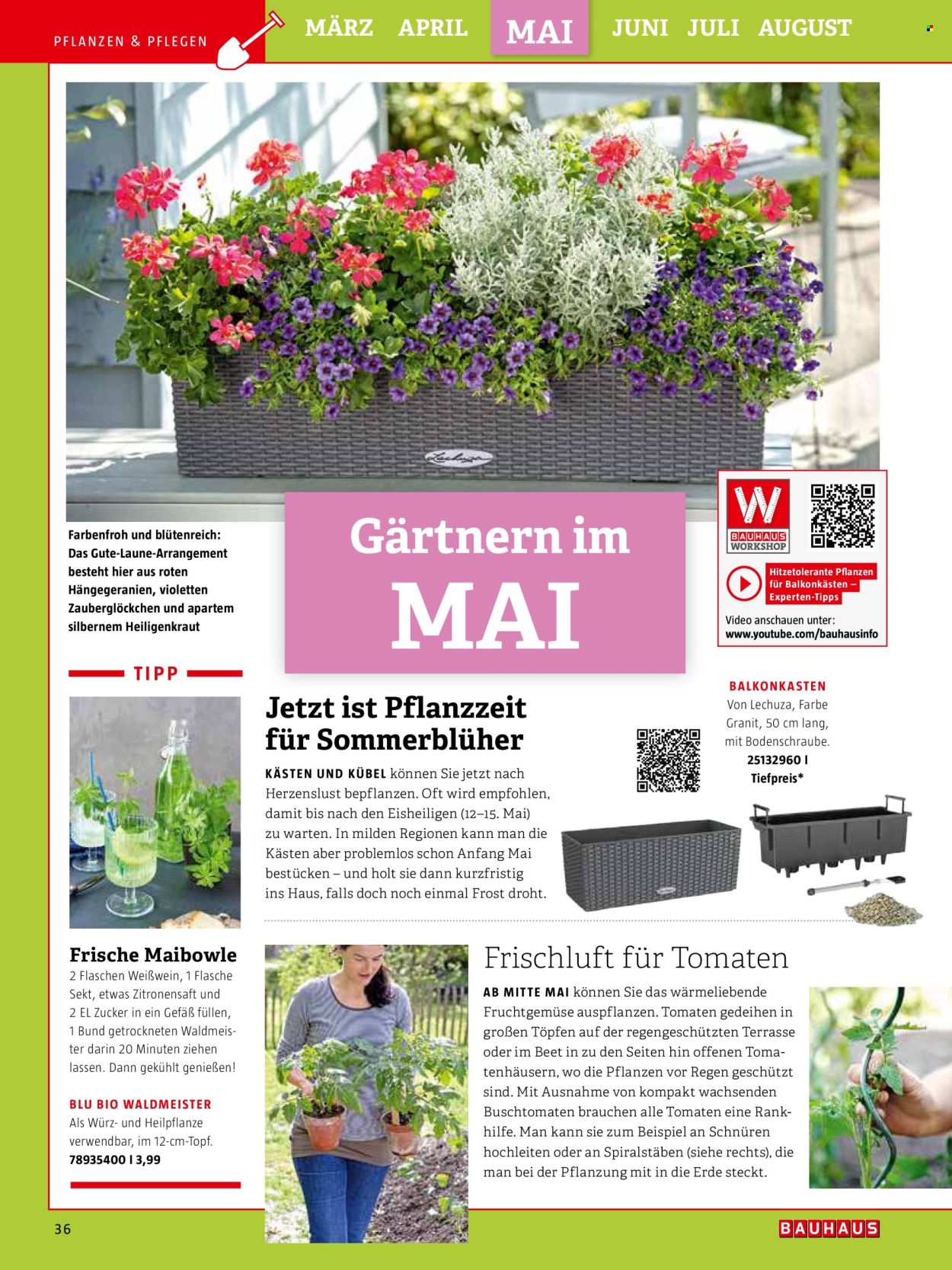 thumbnail - Prospekte Bauhaus - Produkte in Aktion - Draußen-Pflanze, Rankhilfe, Zauberglöckchen, Blumenkasten. Seite 36.