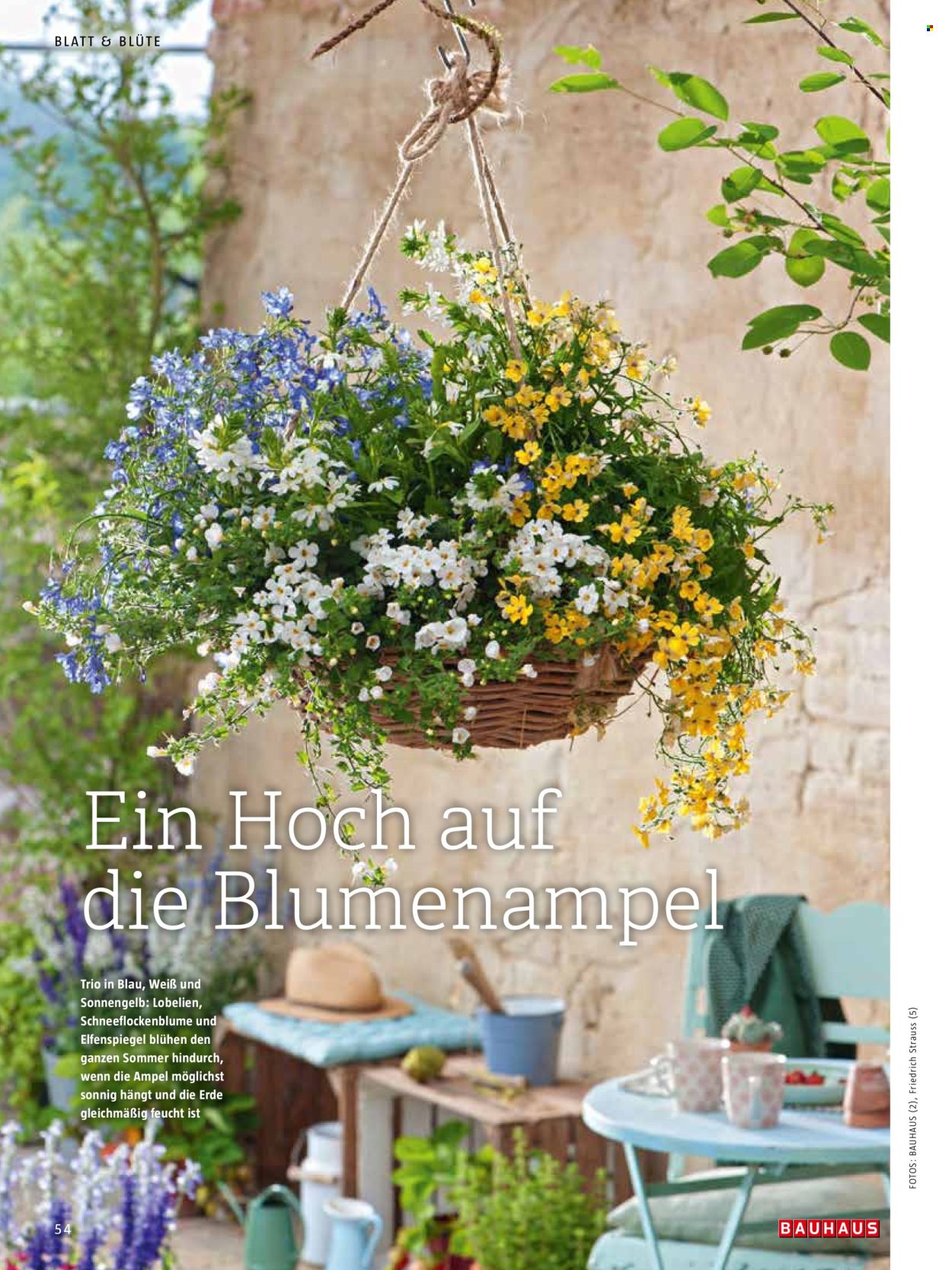 thumbnail - Prospekte Bauhaus - Produkte in Aktion - Blumenampel, Lobelie, Blumenstrauß, Erde. Seite 54.