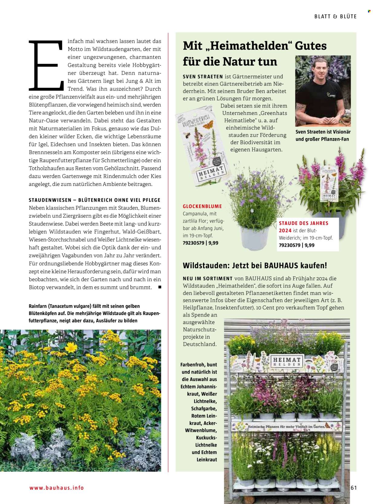 thumbnail - Prospekte Bauhaus - Produkte in Aktion - Hat, Kies, Campanula, Stauden, Blumenzwiebeln, Draußen-Pflanze, Rindenmulch, Komposter. Seite 61.