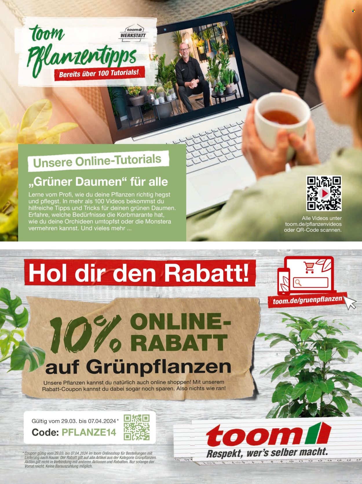 thumbnail - Prospekte toom Baumarkt - 20.02.2024 - 31.05.2024 - Produkte in Aktion - Orchidee, Grünpflanze, Monstera, Drinnen-Pflanze. Seite 32.
