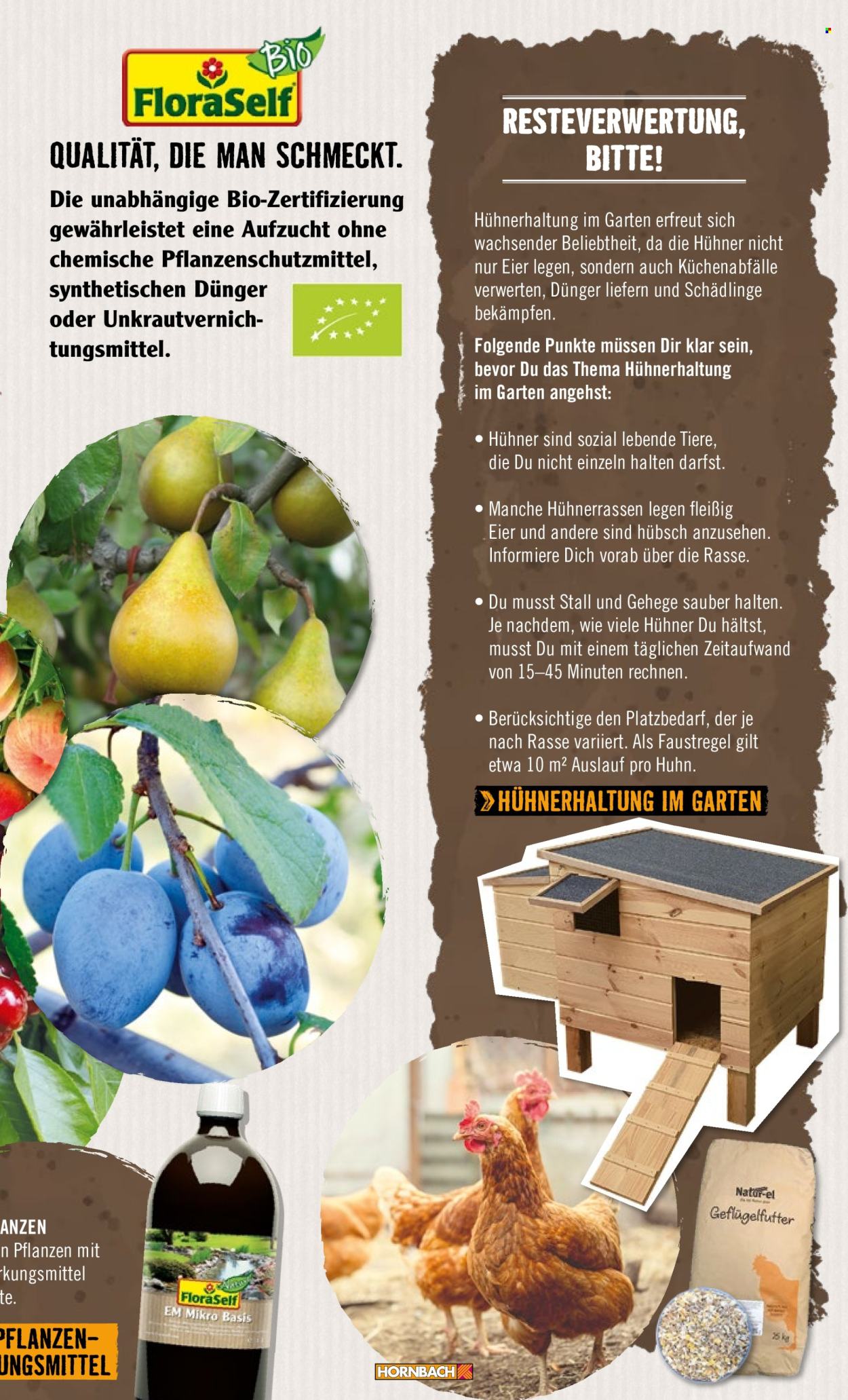 thumbnail - Prospekte Hornbach - Produkte in Aktion - Hühnerfutter, Fenster, Obstbaum. Seite 9.