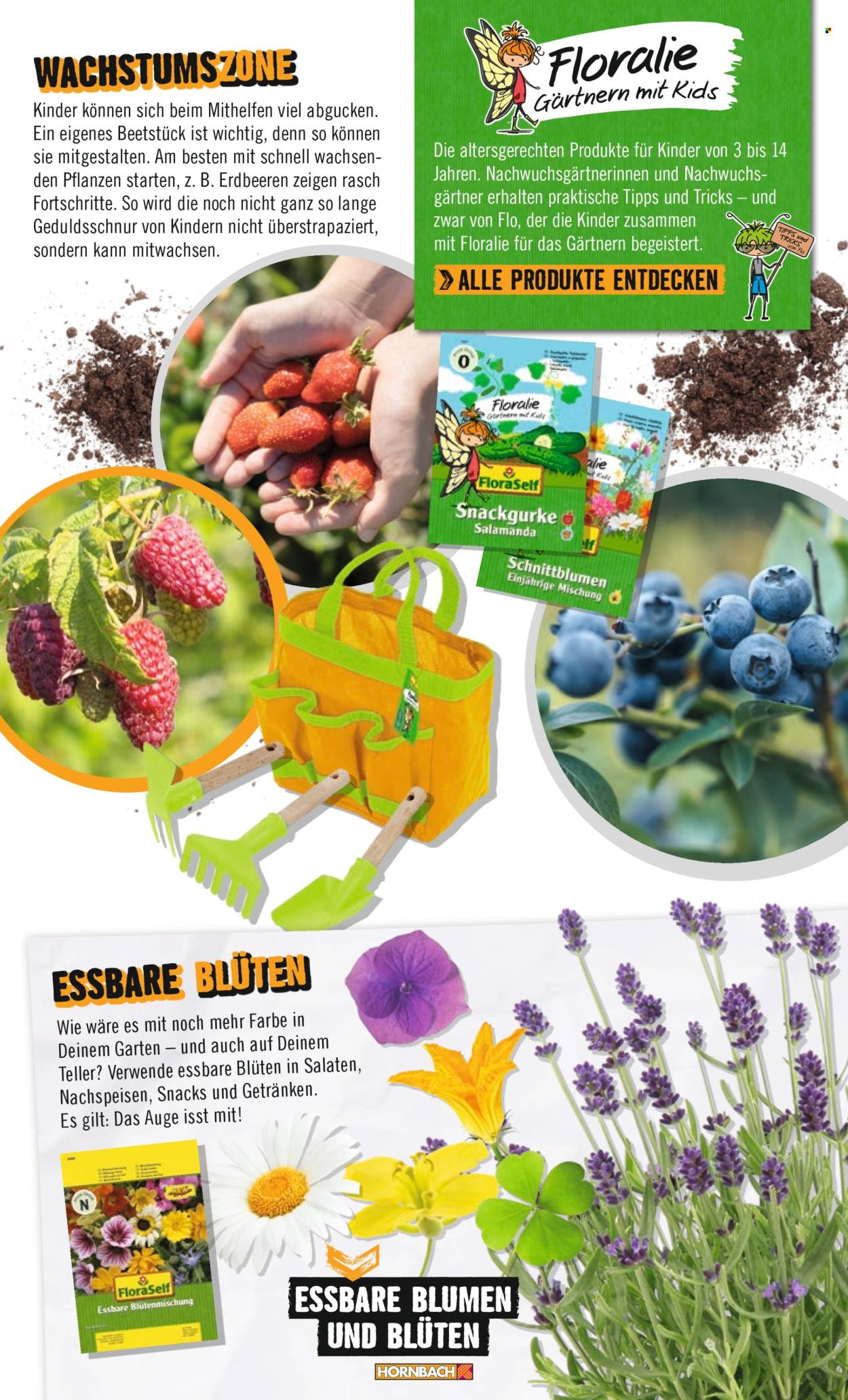 thumbnail - Prospekte Hornbach - Produkte in Aktion - Gemüsesamen, Erdbeeren, Lavendel, Draußen-Pflanze, Saatgut, Blumensamen, Blütenmischung, Garten- und Pflanzhelfer, Himbeeren. Seite 43.