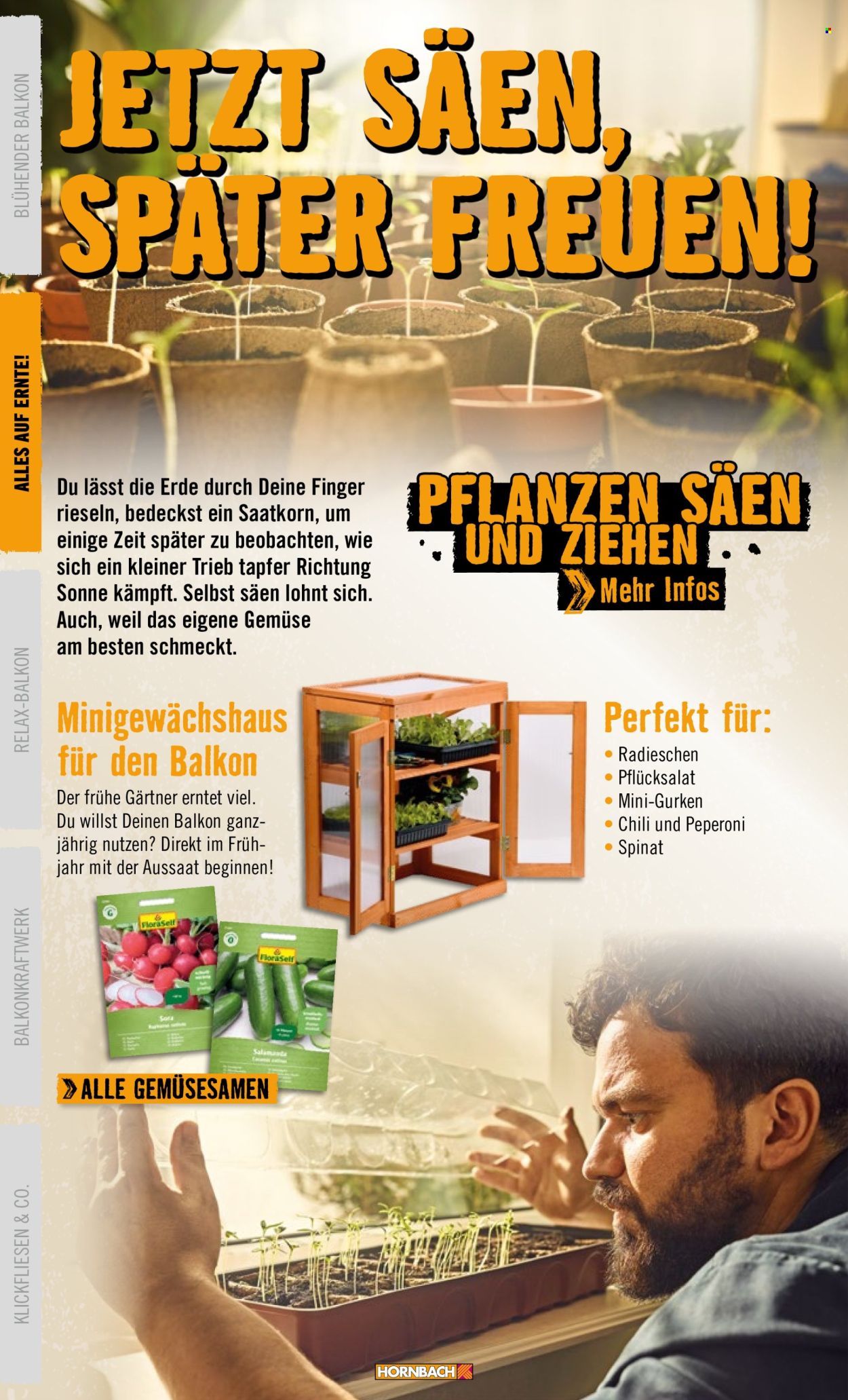 thumbnail - Prospekte Hornbach - Produkte in Aktion - Braun, Gewächshaus, Gemüsesamen, Saatgut. Seite 8.