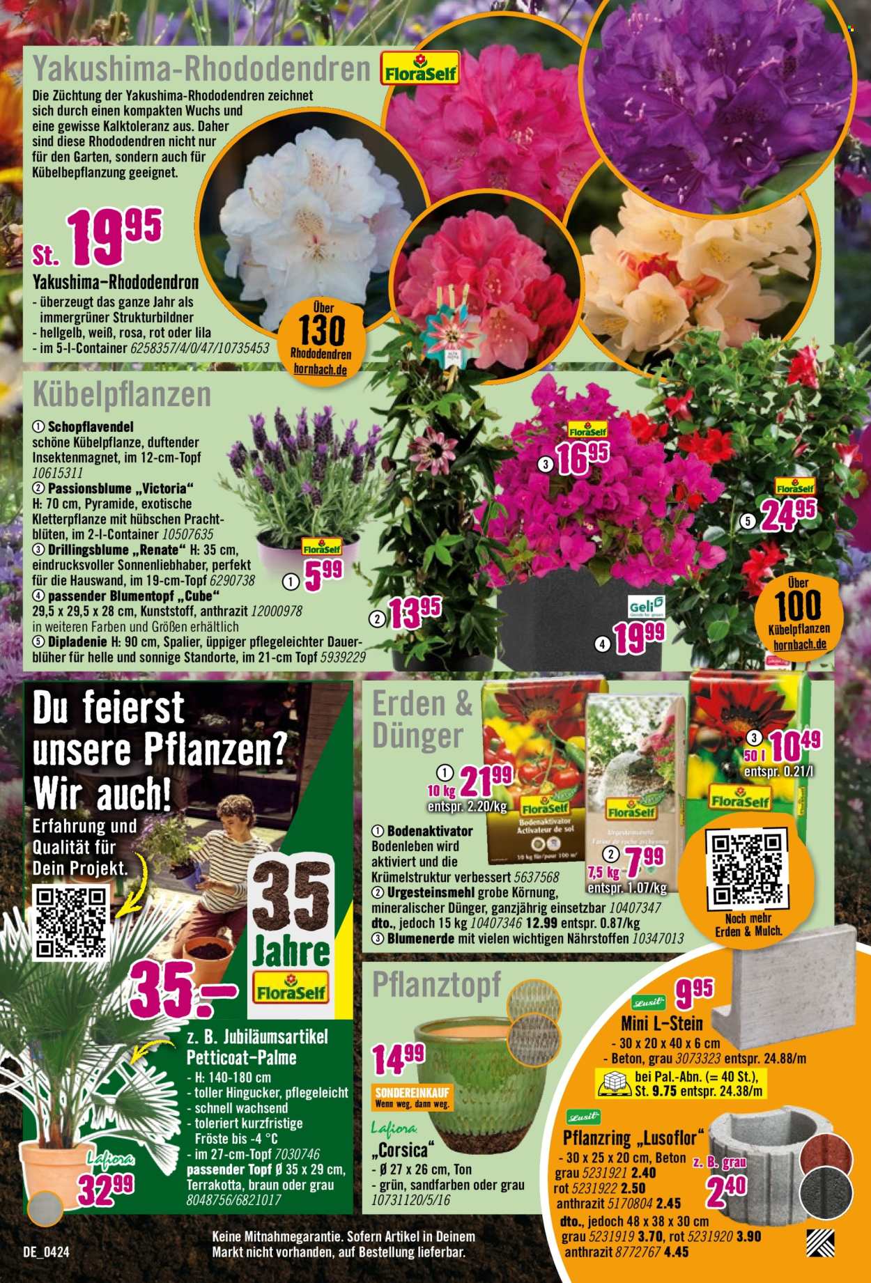 thumbnail - Prospekte Hornbach - 10.04.2024 - 8.05.2024 - Produkte in Aktion - Container, Pflanze in dem Blumentopf, Winkelstütze, Blumenerde, Lavendel, Draußen-Pflanze, Rhododendron, Palme, Kletterpflanze, Pflanztopf, Erde, Bodenaktivator. Seite 3.