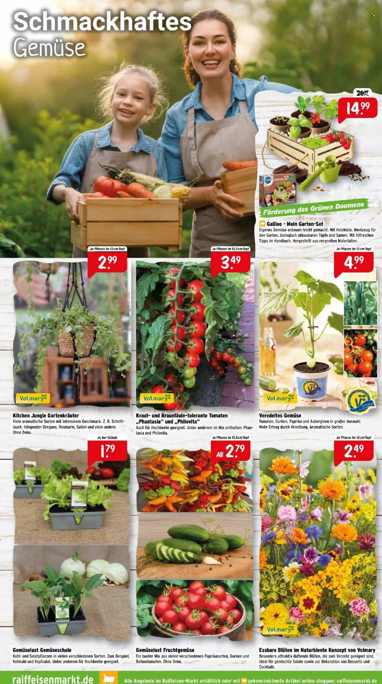 thumbnail - Prospekte Raiffeisen-Markt - 1.05.2024 - 31.05.2024 - Produkte in Aktion - Dekoration, Werkzeug, Tomaten, Rosmarin, Gemüsepflanze, Salatpflanze, Holzkiste. Seite 3.