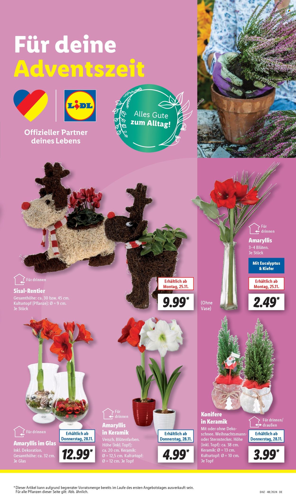 Leták Lidl - 25.11.2024 - 30.11.2024. Strana 5