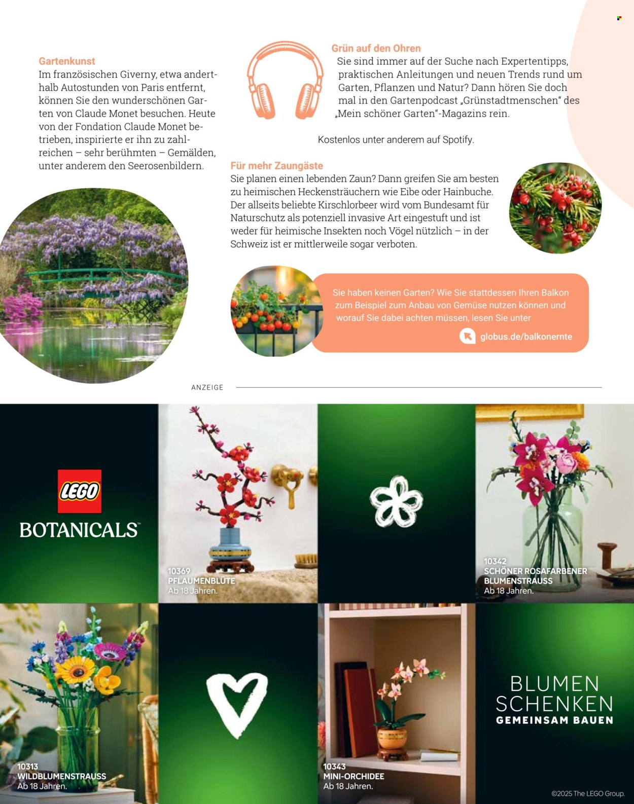 Globus Prospekte  - 8.05.2025 - 31.05.2025. Seite 1