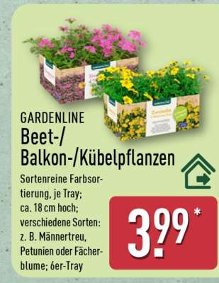 GARDENLINE Beet-/Balkon-/Kübelpflanzen