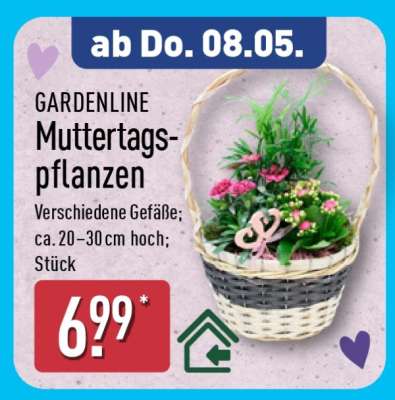GARDENLINE Muttertagspflanzen