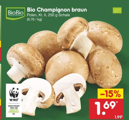 Bio Champignon braun