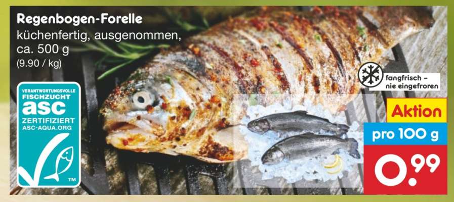 Regenbogen-Forelle