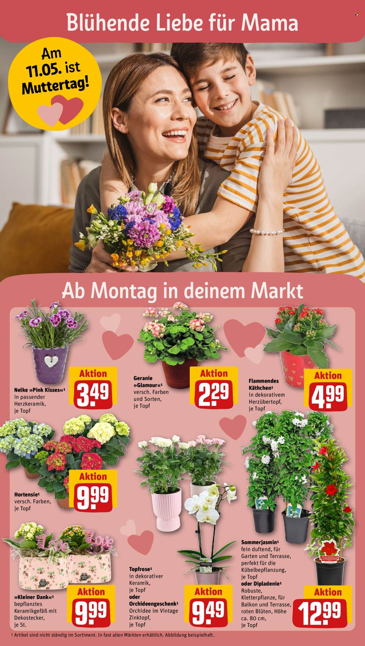 REWE Prospekte  - 5.05.2025 - 11.05.2025. Seite 1