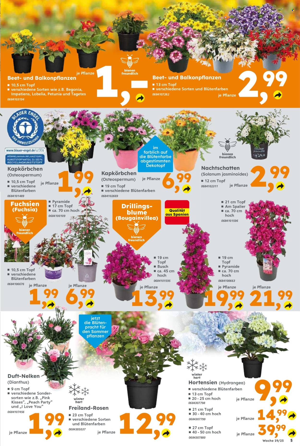 Globus Baumarkt Prospekte  - 5.05.2025 - 10.05.2025. Seite 1