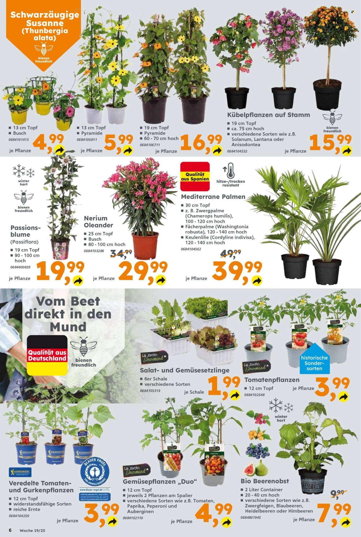 Globus Baumarkt Prospekte  - 5.05.2025 - 10.05.2025. Seite 1