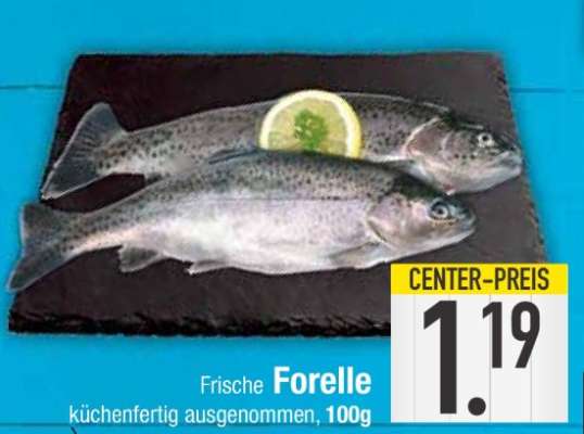 Frische Forelle