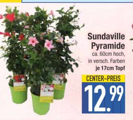 Sundaville Pyramide