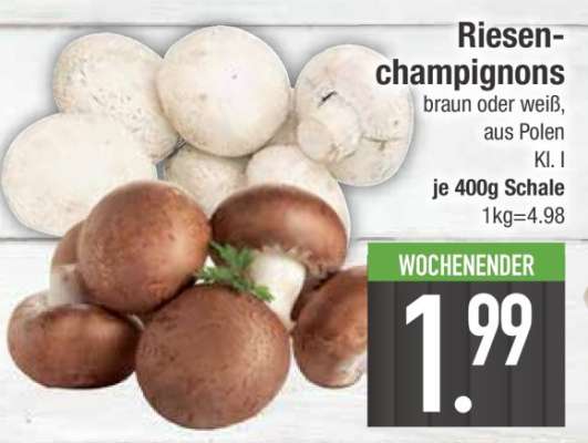 Riesen- champignons