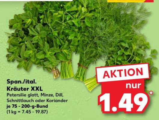 Span./ital. Kräuter XXL