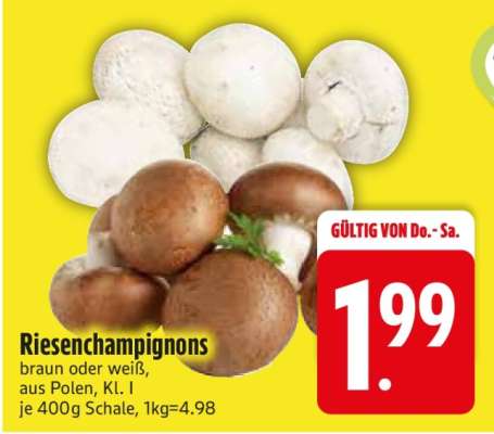 Riesenchampignons