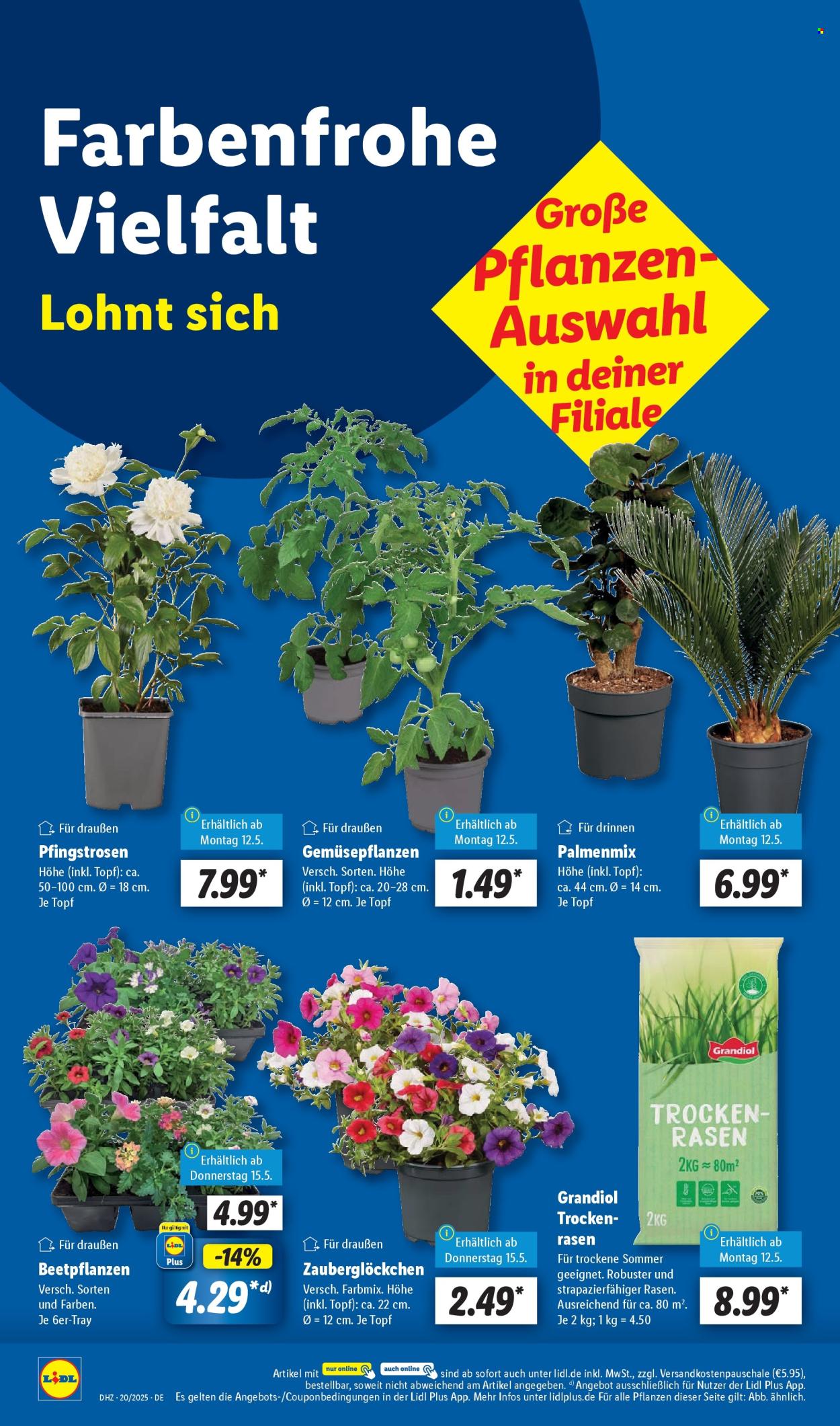 Lidl Prospekte  - 12.05.2025 - 17.05.2025. Seite 1