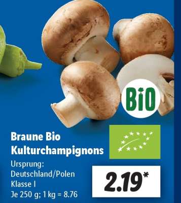 Braune Bio Kulturchampignons