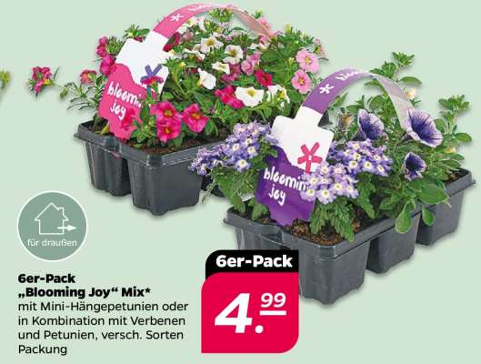 Ger-Pack „Blooming Joy“ Mix