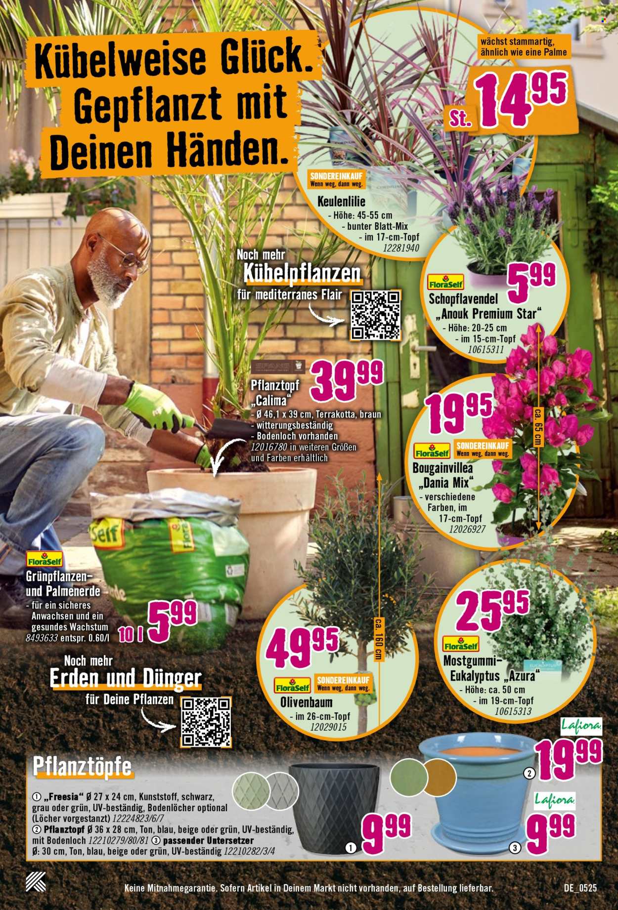 Hornbach Prospekte  - 7.05.2025 - 4.06.2025. Seite 1