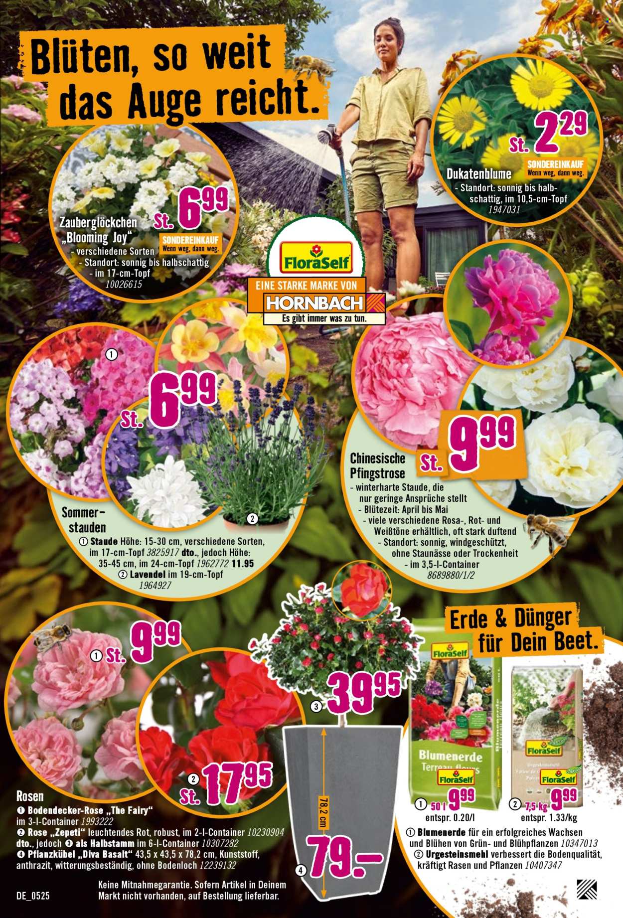 Hornbach Prospekte  - 7.05.2025 - 4.06.2025. Seite 1