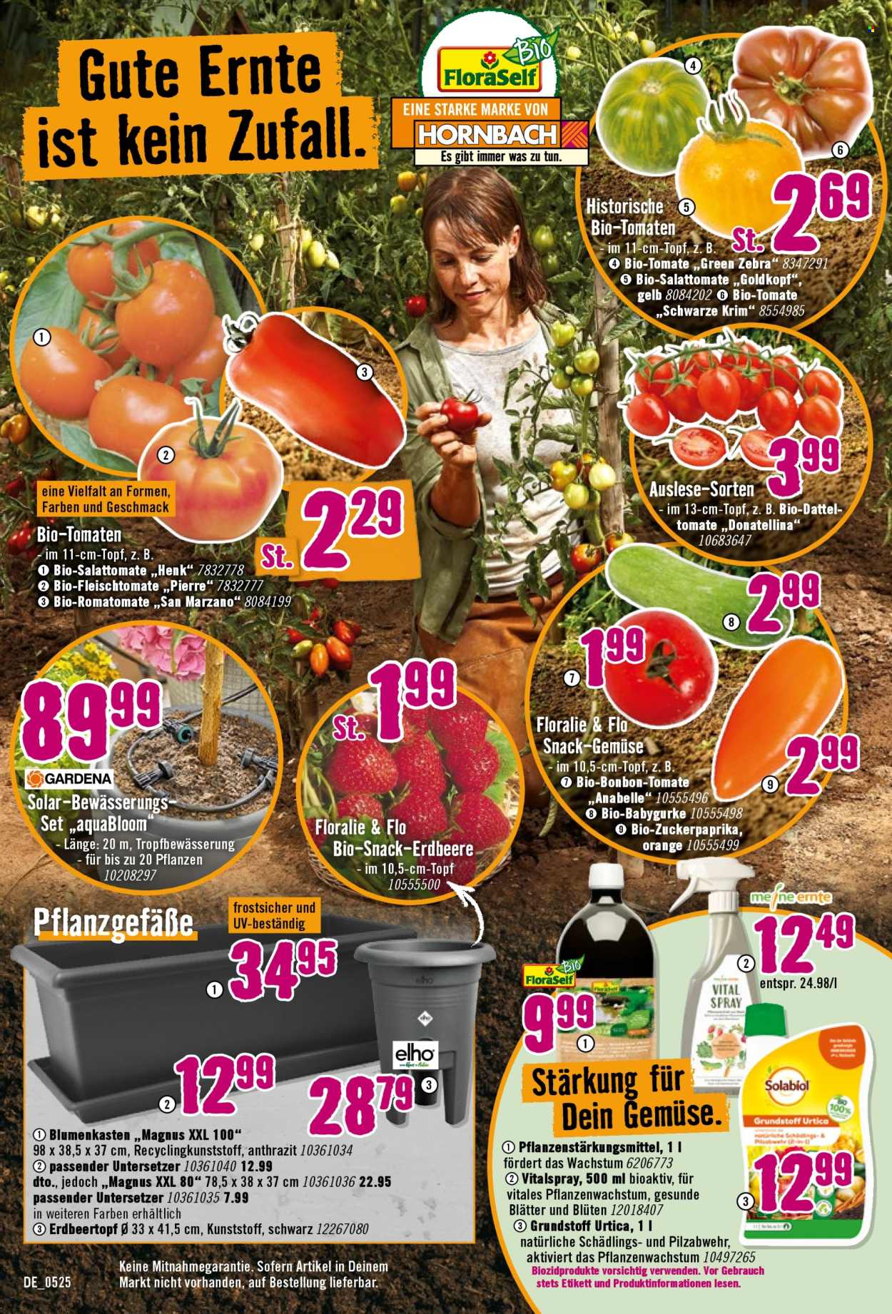 Hornbach Prospekte  - 7.05.2025 - 4.06.2025. Seite 1