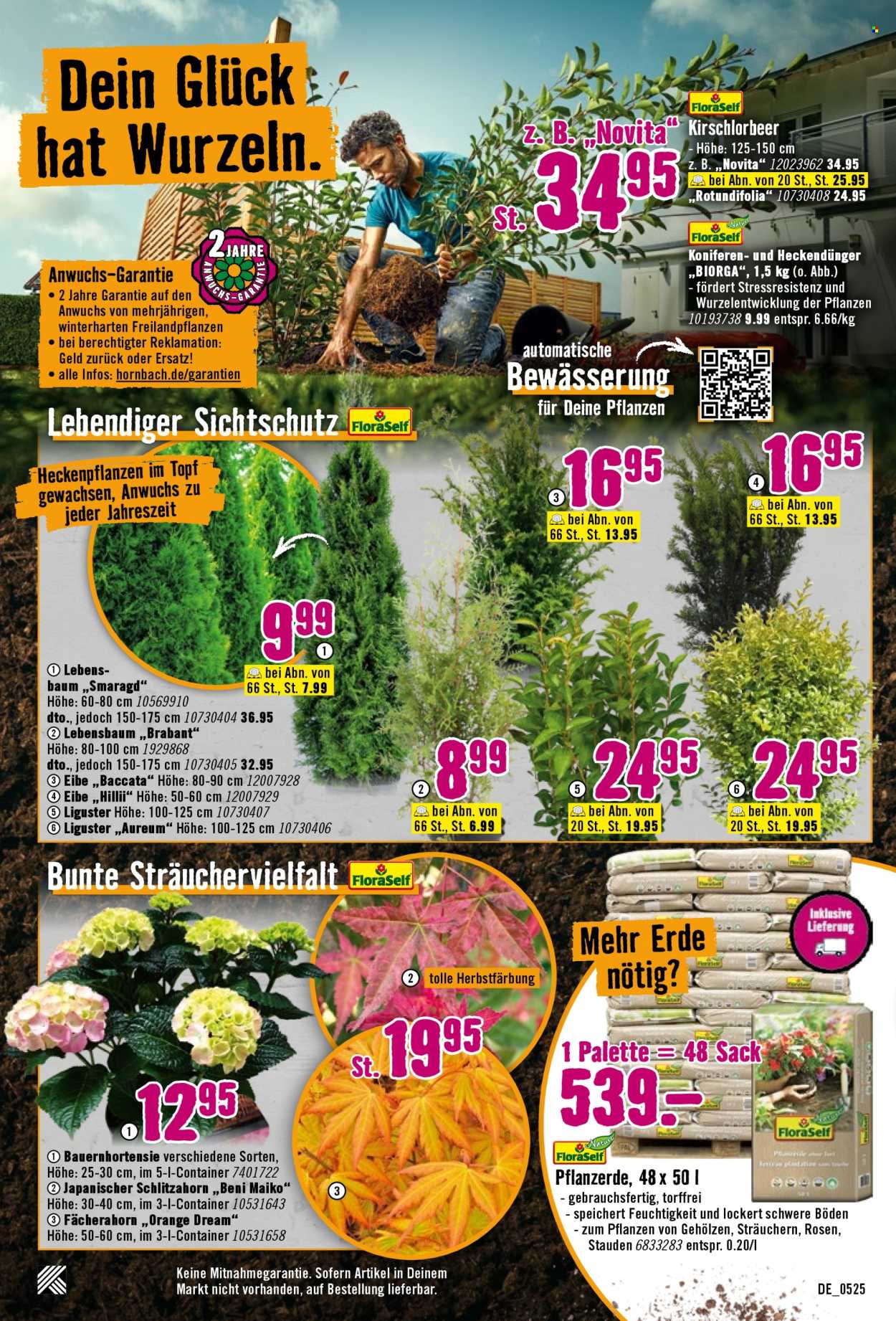 Hornbach Prospekte  - 7.05.2025 - 4.06.2025. Seite 1