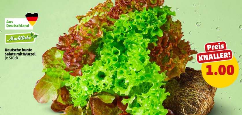 Deutsche bunte Salate mit Wurzel