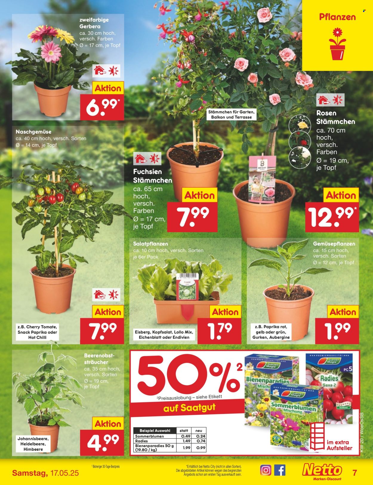 Leták Netto Marken-Discount - 12.5.2025 - 17.5.2025. Strana 9