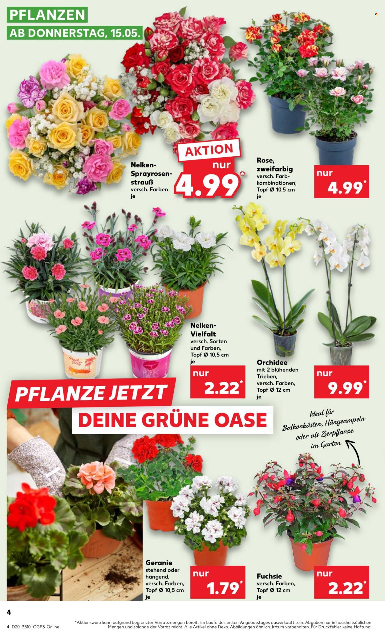 Leták Kaufland - 15.5.2025 - 21.5.2025. Strana 4