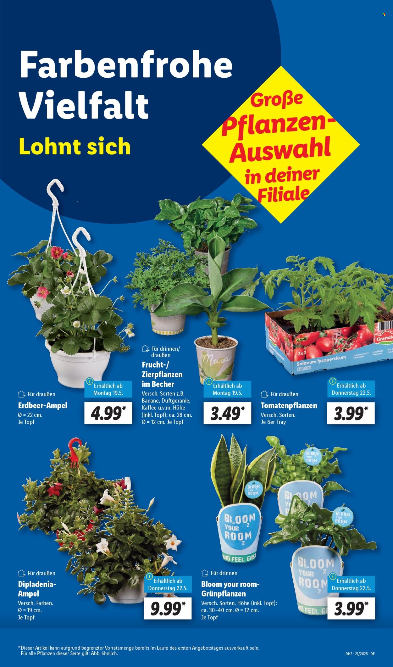 Leták Lidl - 19.5.2025 - 24.5.2025. Strana 5