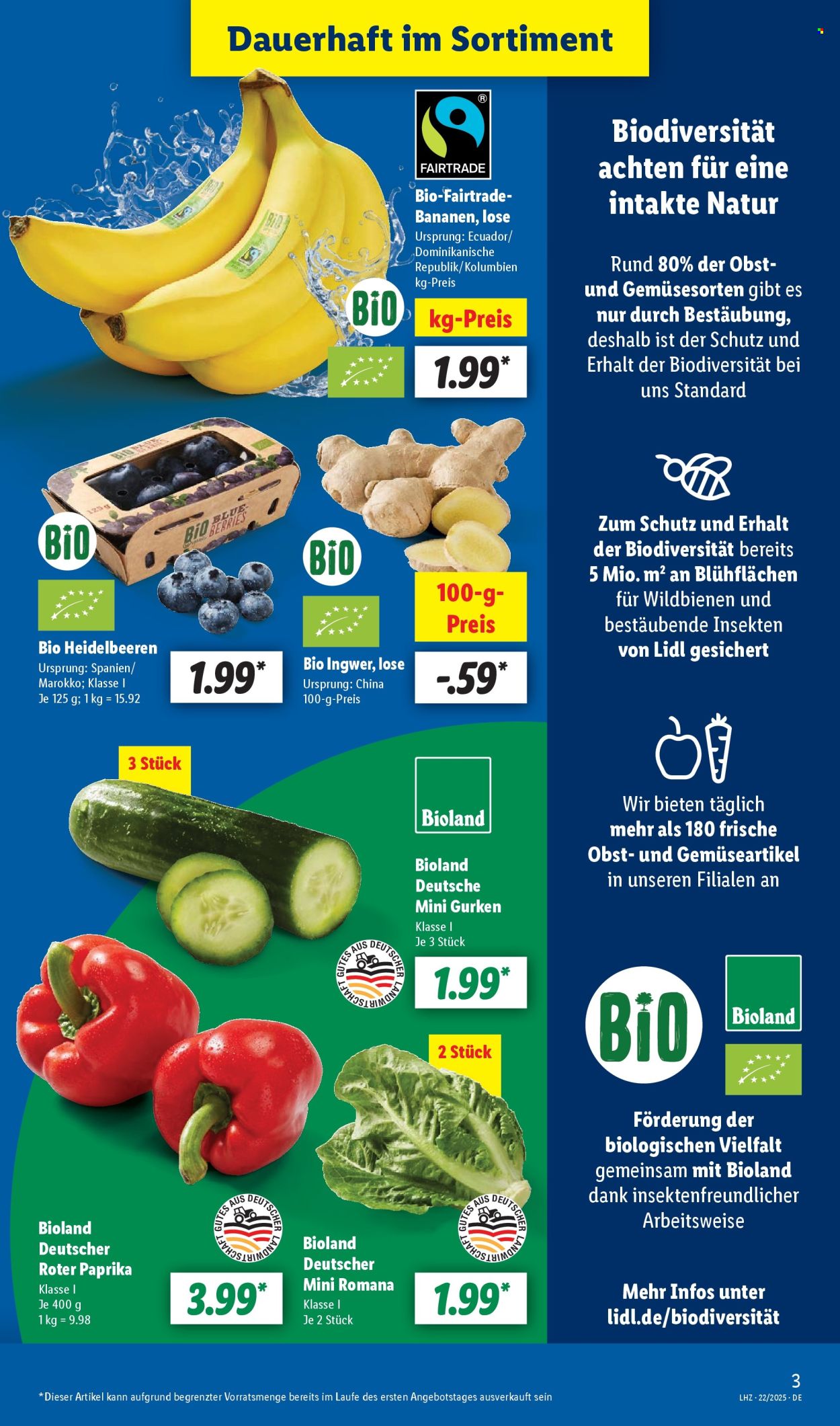 Leták Lidl - 26.5.2025 - 31.5.2025. Strana 3