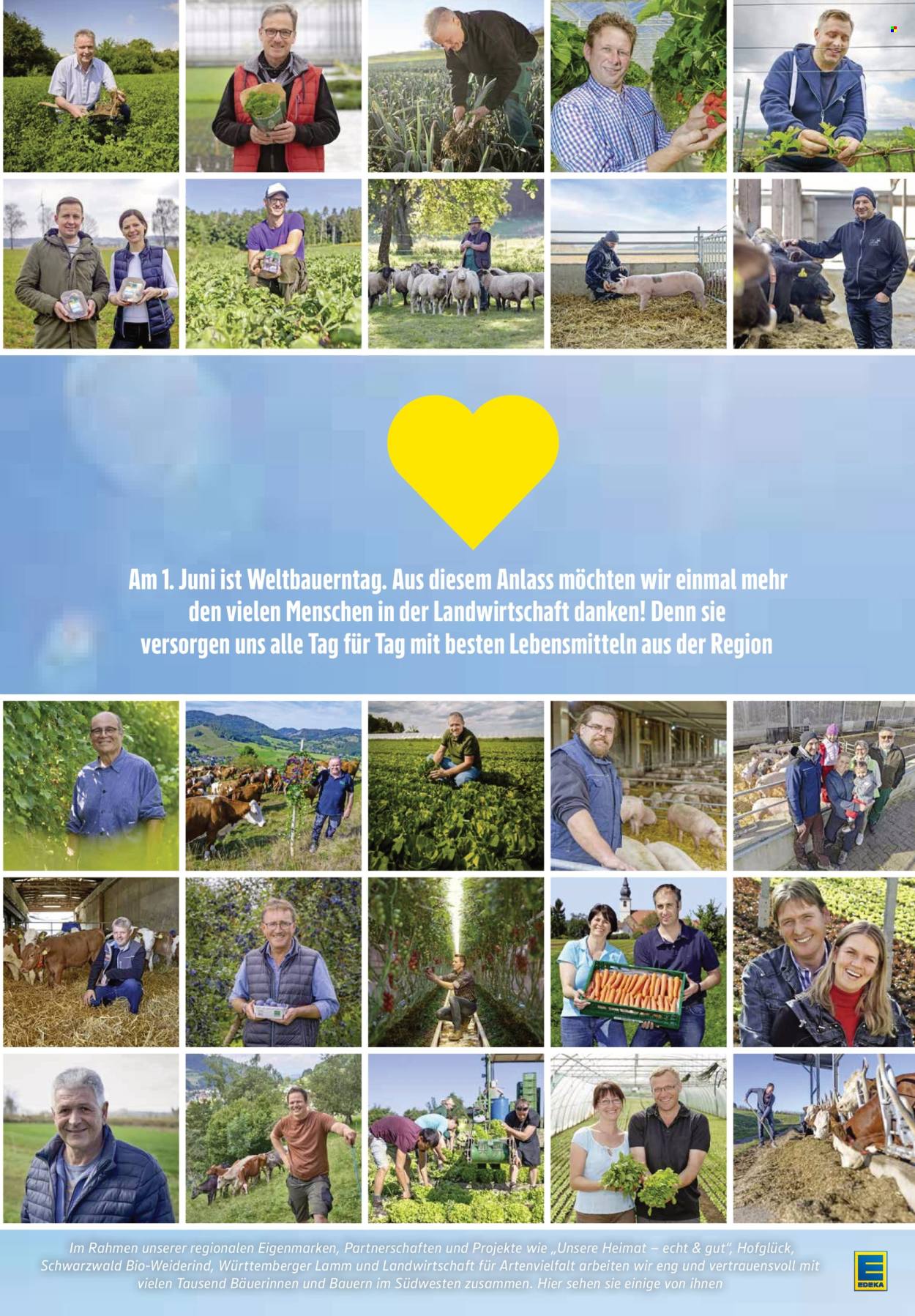 Leták Edeka - 26.5.2025 - 31.5.2025. Strana 9