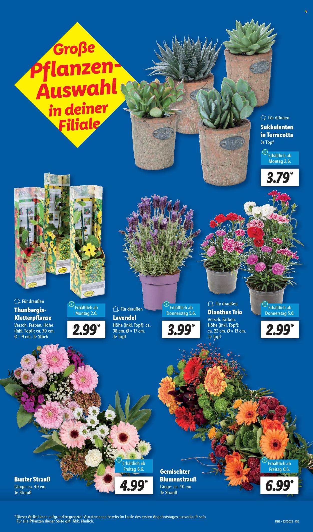 Leták Lidl - 2.6.2025 - 7.6.2025. Strana 7