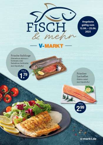 Prospekte V-Markt - 12.06.2025 - 25.06.2025.