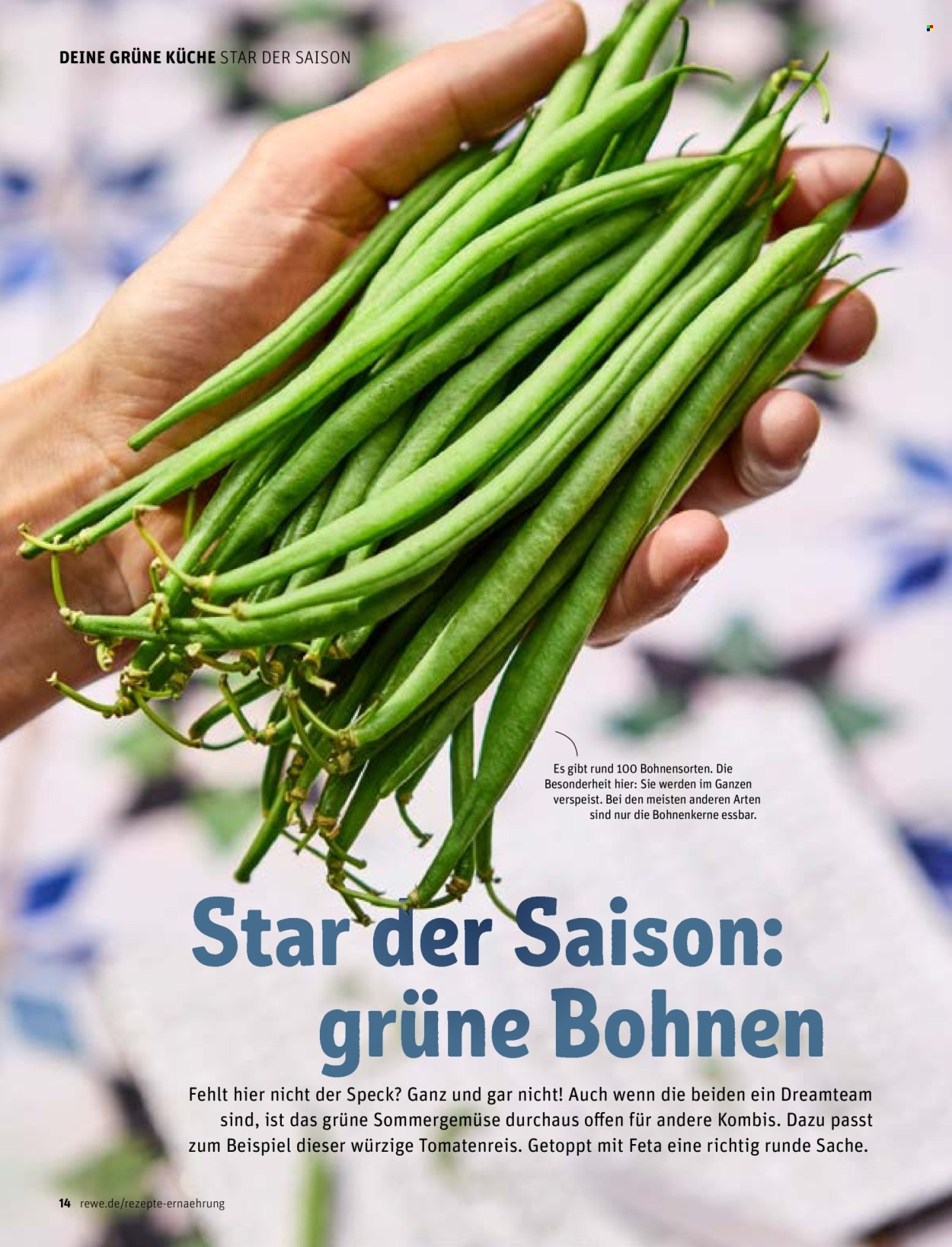 REWE Prospekte . Seite 14