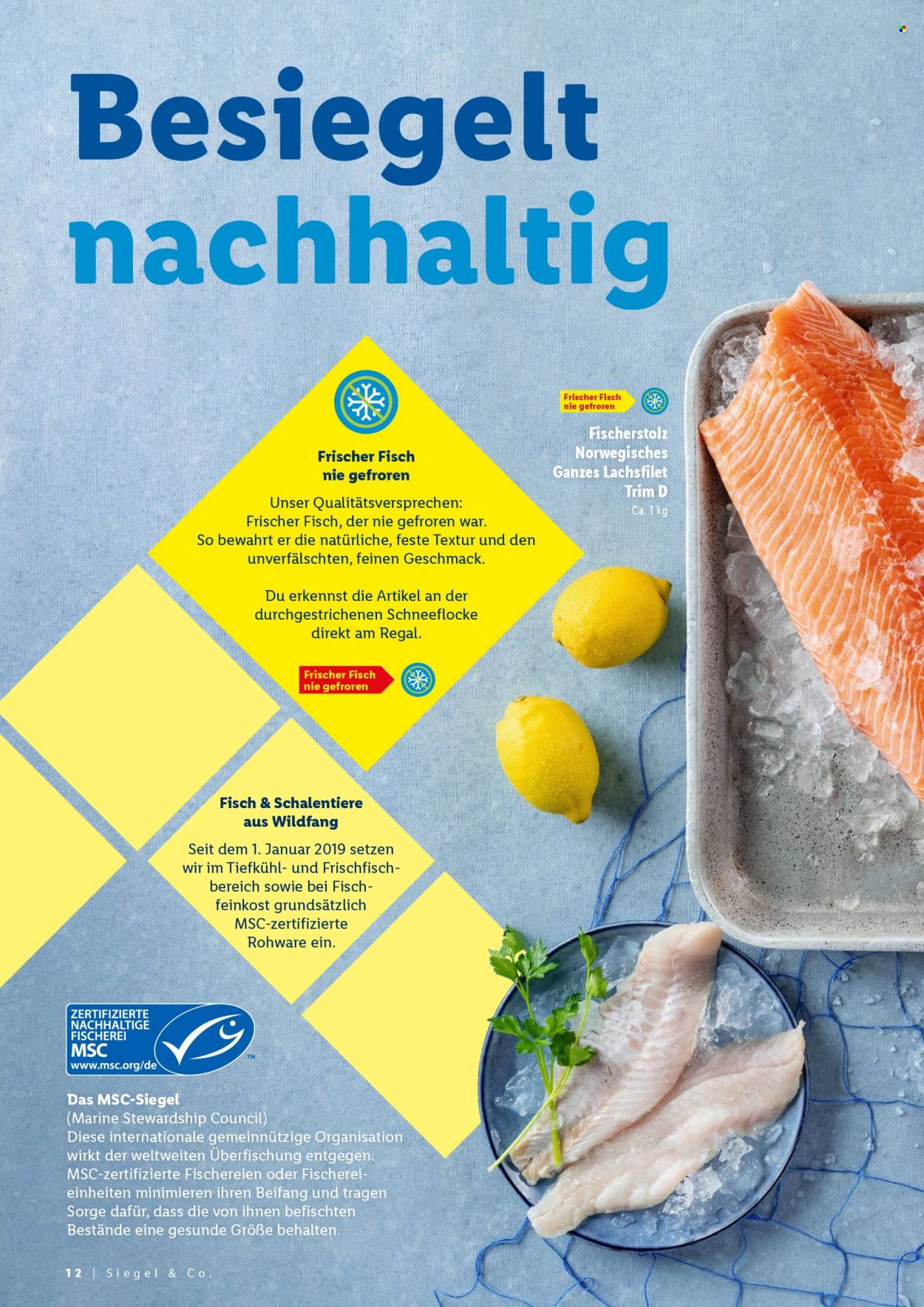 Lidl Prospekte . Seite 12
