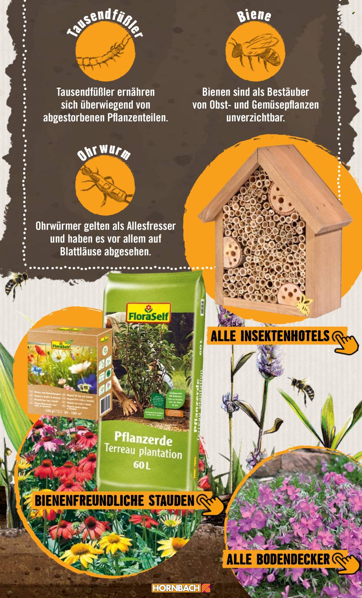 Hornbach Prospekte . Seite 11