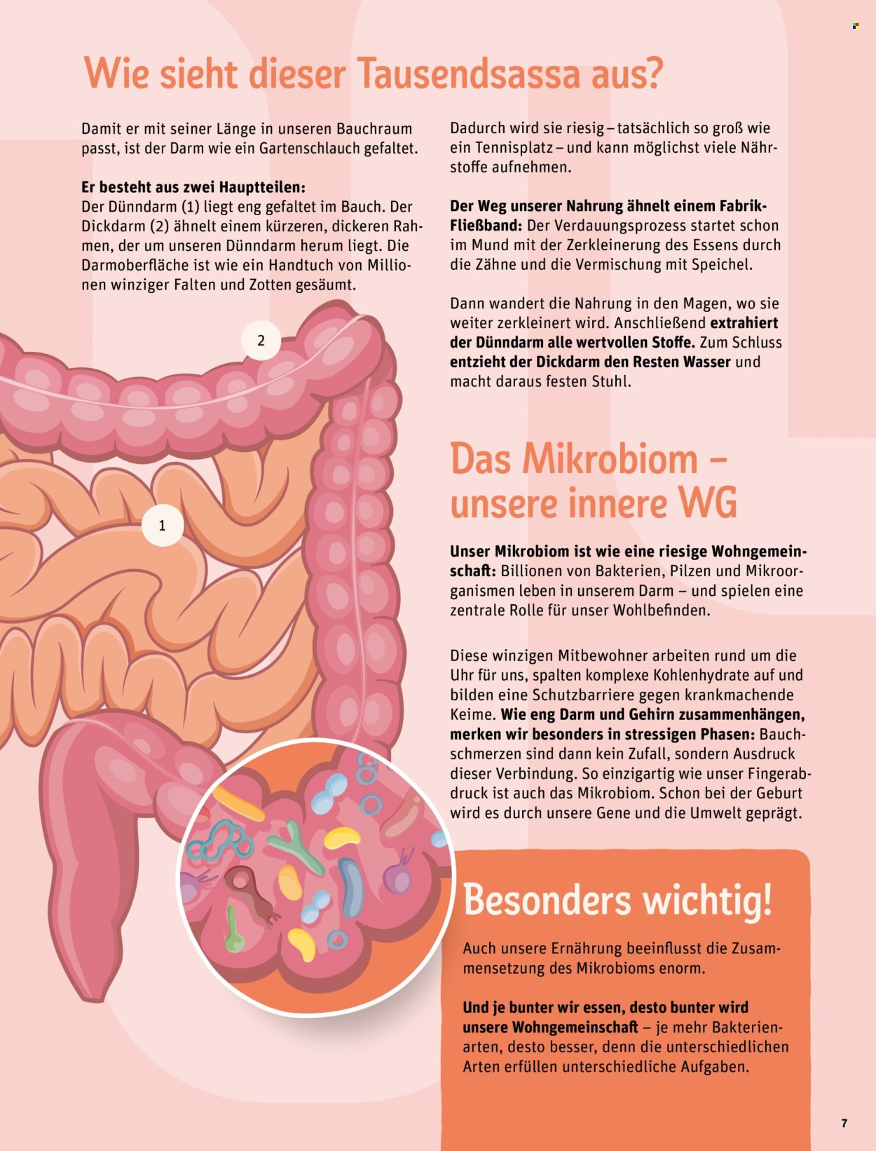 Leták REWE. Strana 6